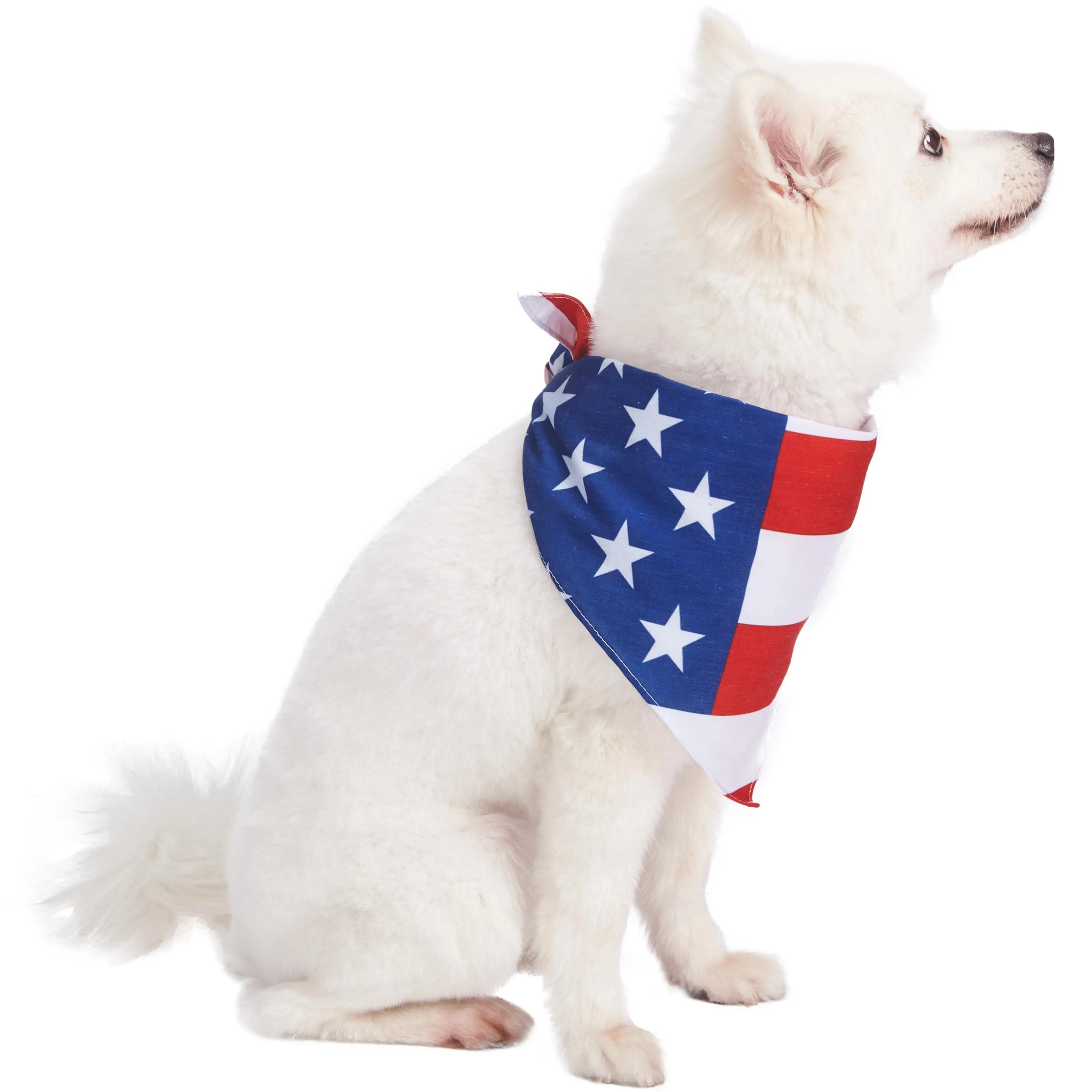 American Flag Dog Bandana